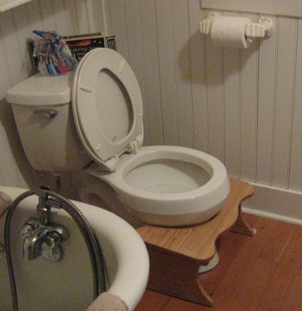squatty potty toilet stool