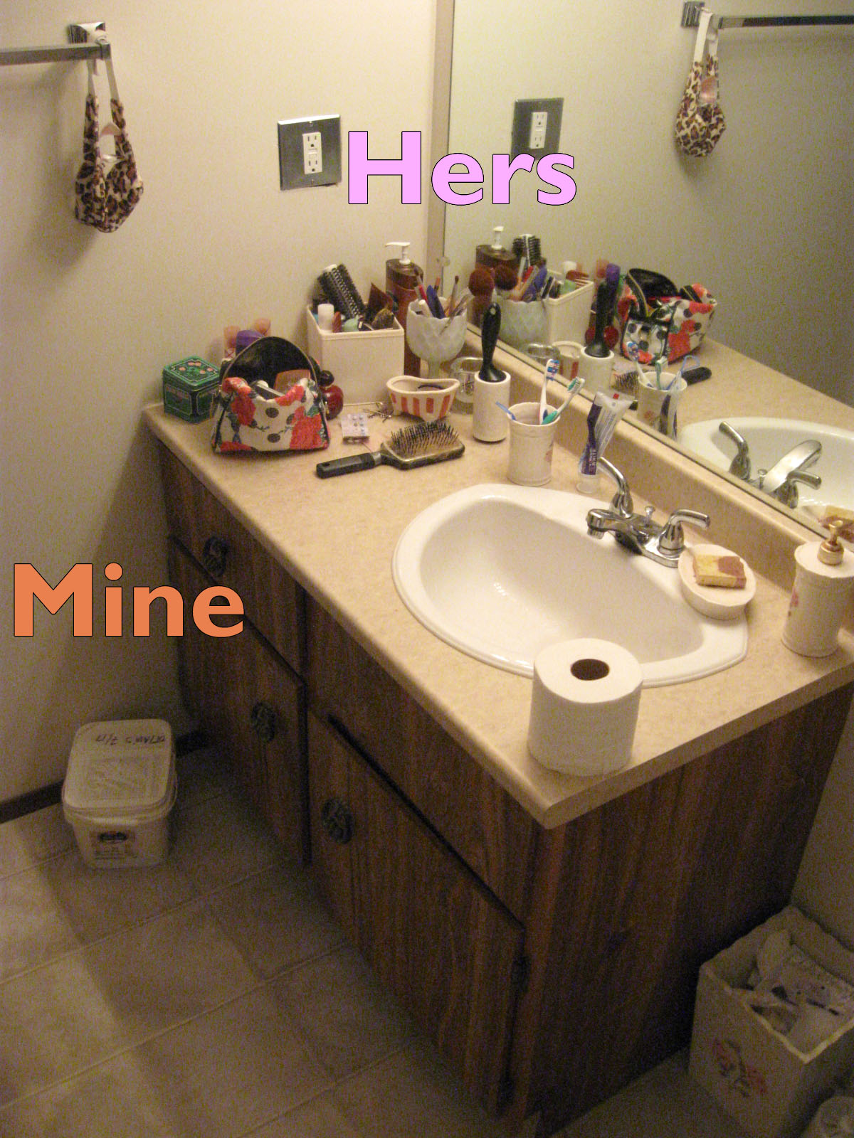 http://fivegallonideas.com/wp-content/uploads/2012/11/bathroom-cabinet-bucket1.jpg