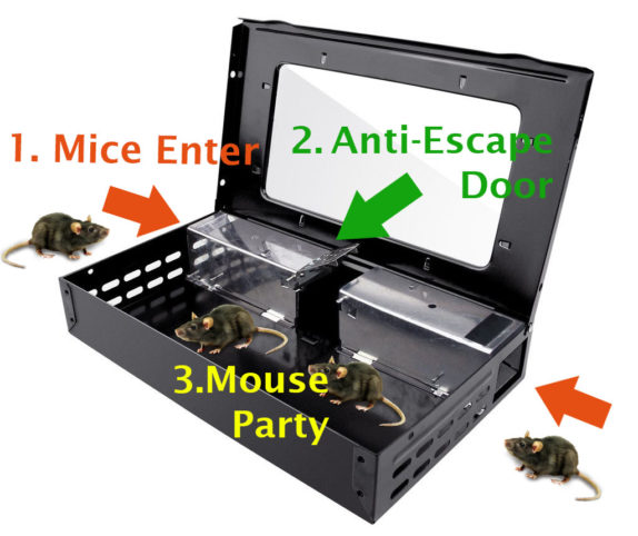 6 PCS Animal Catcher Snap Mouse Trap Mice Rat Reusable Plastic Easy Effective 