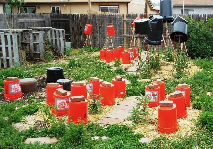 protecting garden from hail with buckets