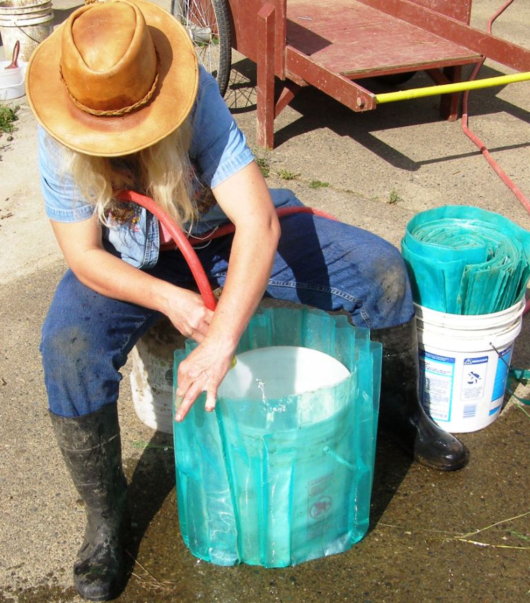wall o water 5 gallon bucket