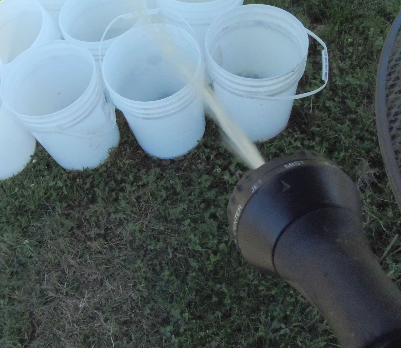 Cleaning 5 Gallon Buckets Five Gallon Ideas