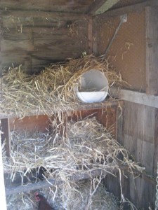 5 gallon bucket chicken nesting box