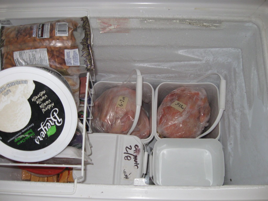 chest freezer interior