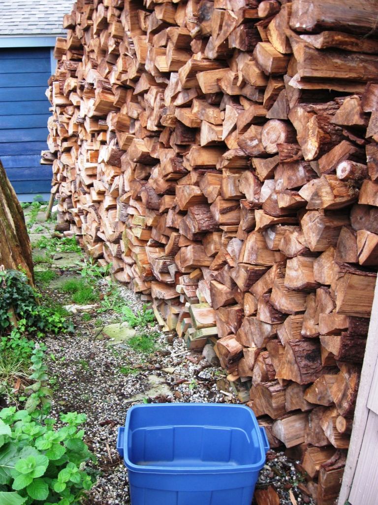 firewood carrier and wood pile